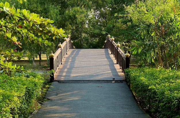 Pont en bois au milieu d'un feuillage vert vif dans le parc