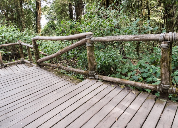 Pont en bois avec la balustrade en bois dans le sentier de la nature.