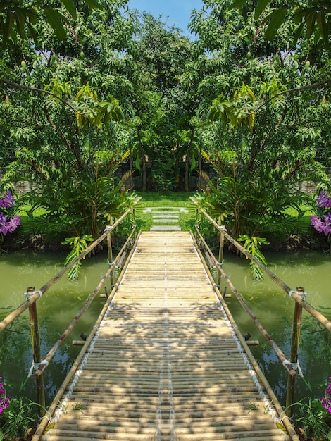 Pont en bois de bambou entouré de forêt verte naturelle.