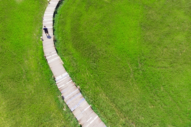 Pont en bois comme chemin à travers le champ d'herbes hautes vertes