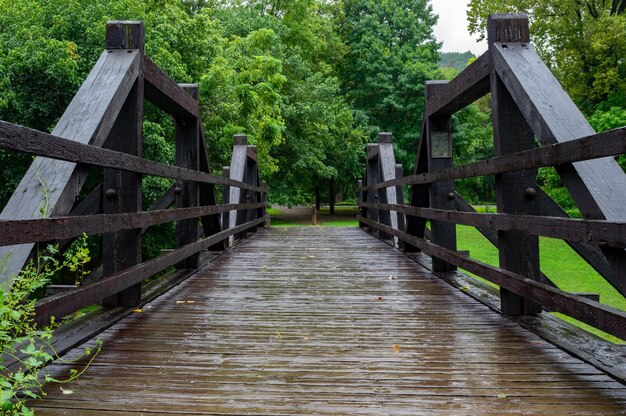 Photo un pont en bois dans la forêt un jour de pluie humide