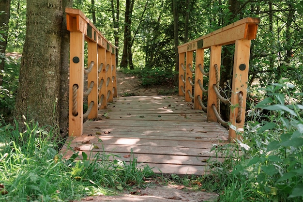 pont en bois dans la forêt