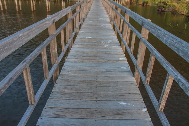 Photo pont de bois dans le lac de lotus