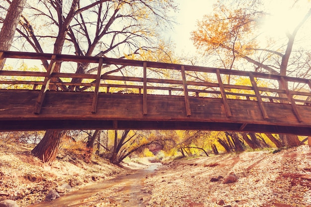 Pont en bois étonnant dans la forêt d'automne