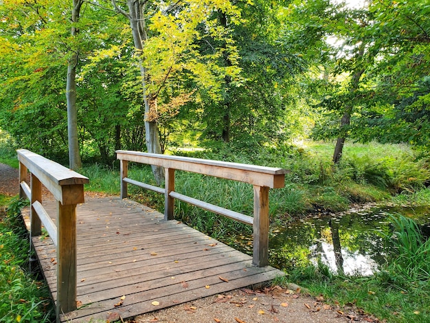 Photo pont en bois avec garde-corps au-dessus de l'eau dans la forêt par une journée nuageuse claire et ensoleillée