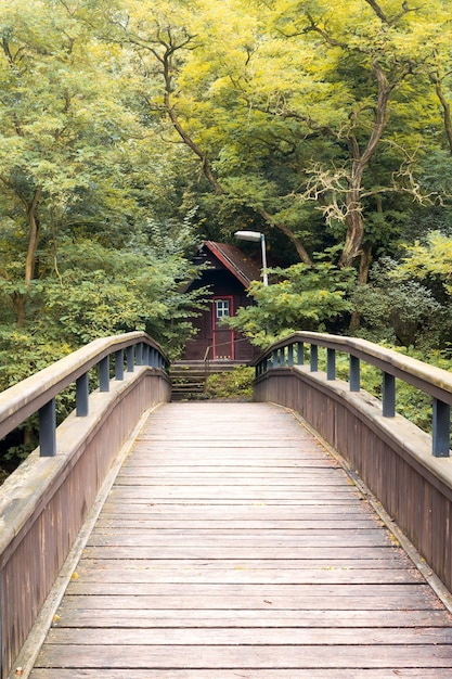 Pont en bois menant à la cabane en rondins