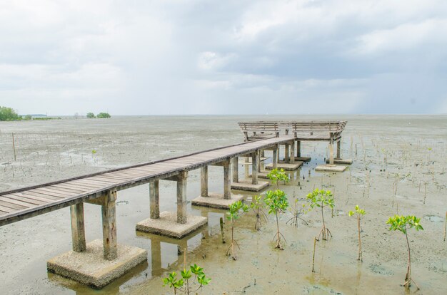 Pont de bois à la mer