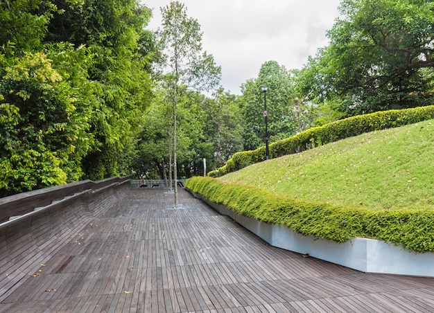 Pont en bois moderne au-dessus du parc de la jungle. Singapour
