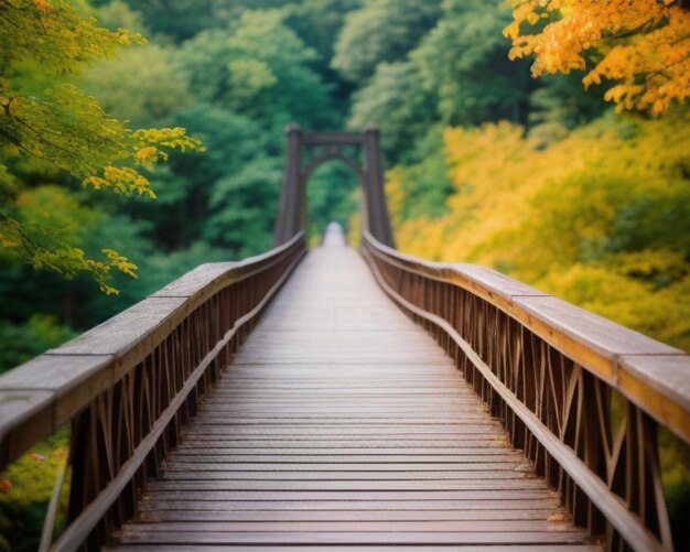 un pont en bois avec un pont qui dit « bridge ».