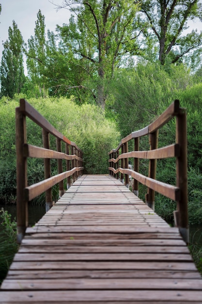 Pont en bois qui traverse la nature. Verticale.