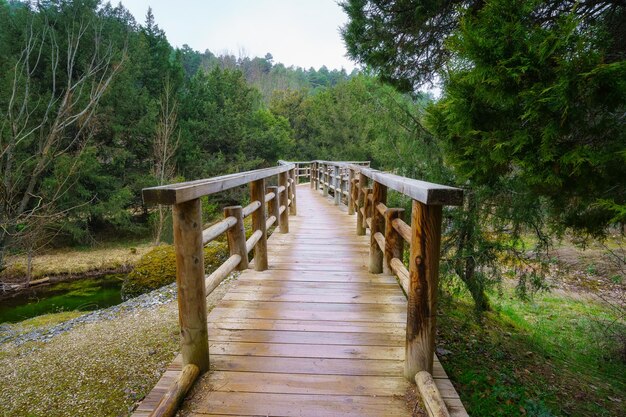 Pont en bois qui traverse la rivière depuis la forêt de genévriers de Soria Espagne