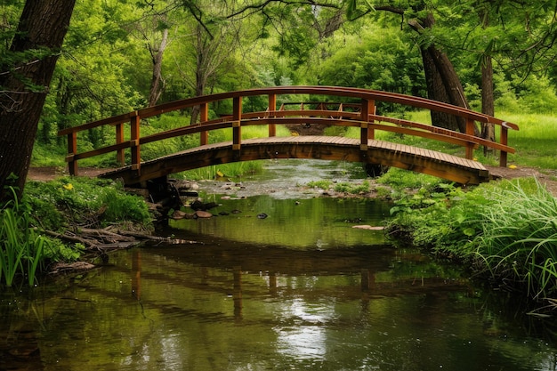 pont en bois sur une rivière dans les bois verts