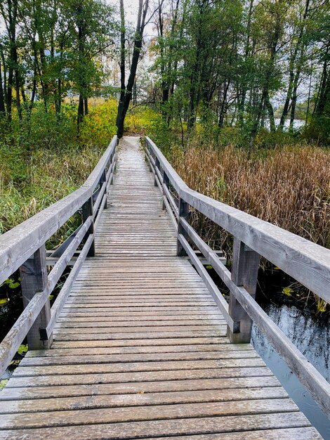 Photo pont en bois sur la rivière dans la forêt