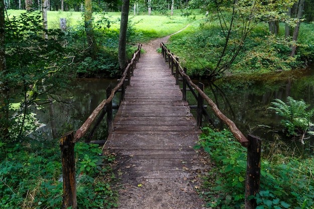 Pont en bois sur la rivière dans le