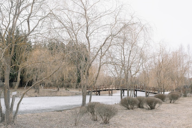 pont en bois sur la rivière un jour de printemps forêt sur les berges pittoresques beau paysage