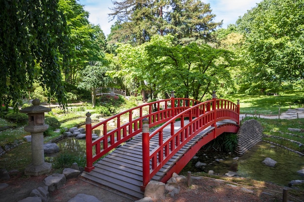 Pont en bois rouge traditionnel sur un étang de jardin japonais