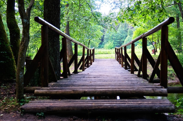 Un pont en bois sur un ruisseau vers la forêt