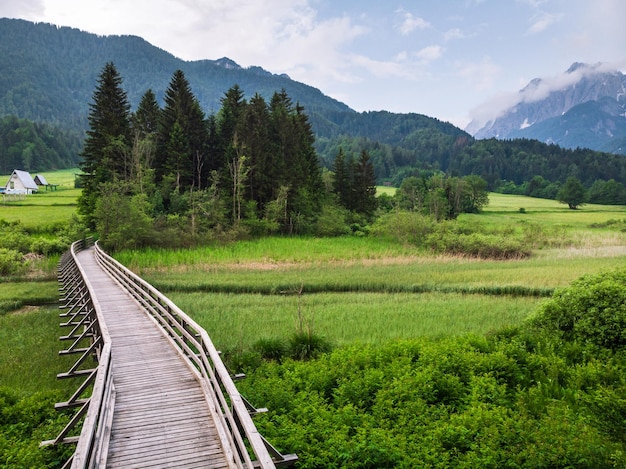 Pont en bois ou sentier dans une réserve naturelle à l'extérieur