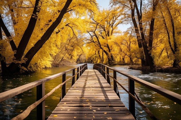 Photo un pont en bois traversant une rivière au cœur de l'automne