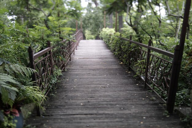 Le pont sur le canal