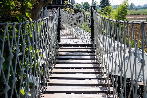 Pont de la canopée sur champ d'été