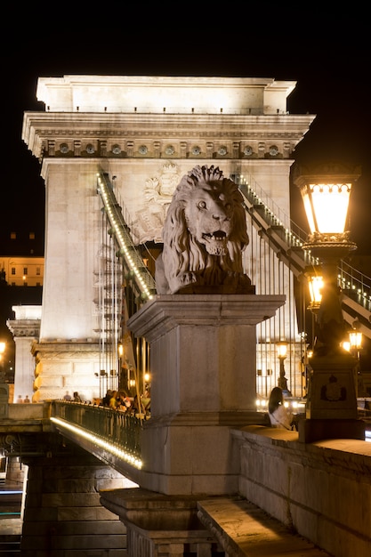 Pont des chaînes à Budapest