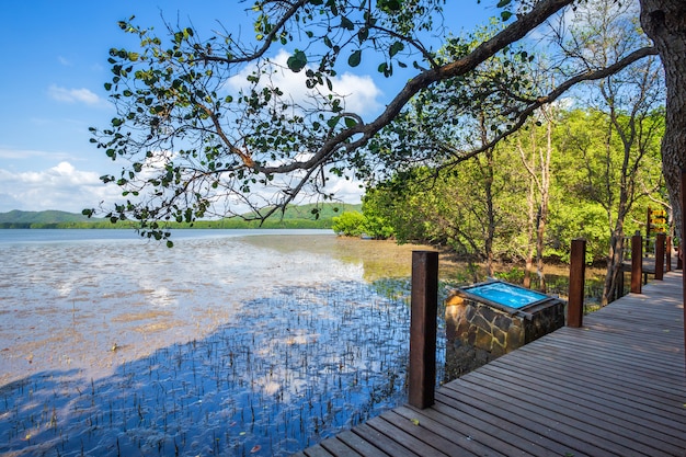 Pont chemin de promenade en bois dans la mangrove forestière et la mer à l&#39;horizon