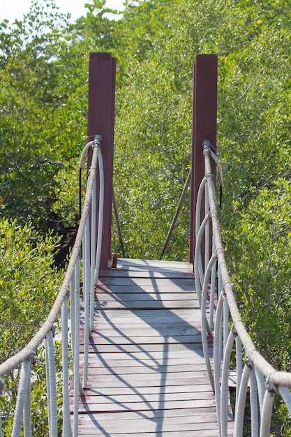 Pont de corde sur la forêt de mangroves