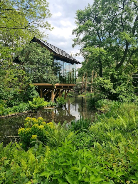 Un pont dans les bois avec une maison en arrière-plan