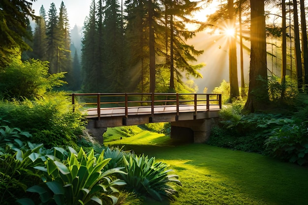 Un pont dans une forêt avec le soleil qui brille à travers les arbres