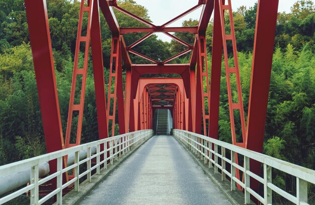 Photo pont dans la forêt