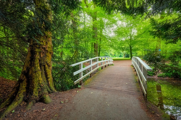 Un pont dans un parc