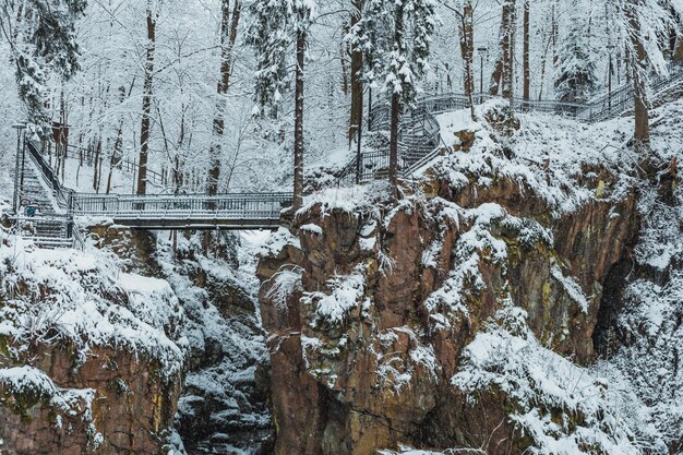 Pont enneigé dans un parc de montagne