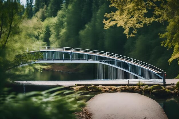 Pont sur un lac dans la forêt