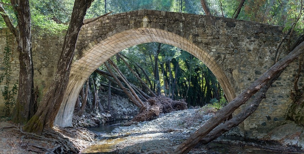 Pont médiéval de Roudias dans la forêt de Paphos Chypre construit par les Vénitiens au 16ème siècle