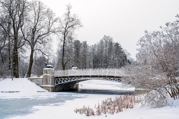 Pont Oleniy dans le parc de Pavlovsk un jour d'hiver St Petersbourg Russie