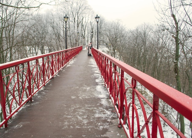 Pont de parc au-dessus de la route en parc de Mariinsky