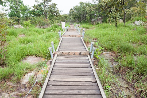 Pont de la passerelle à la montagne