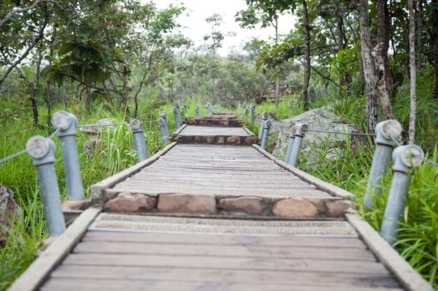 Pont de la passerelle à la montagne