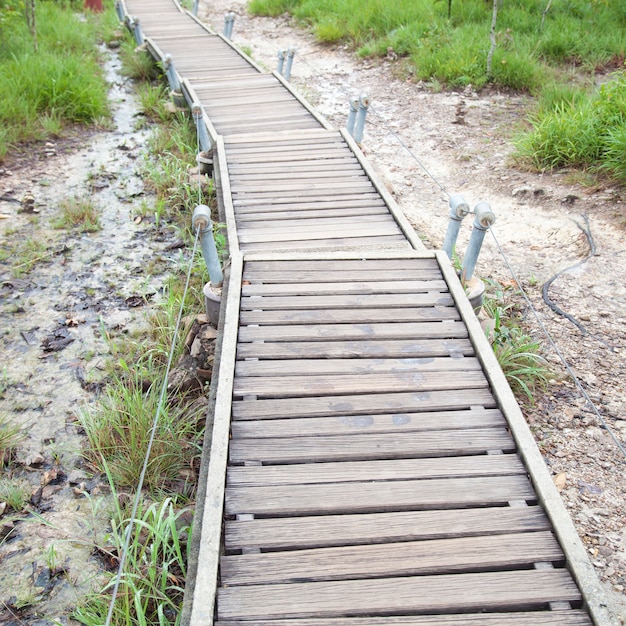 Pont de la passerelle à la montagne