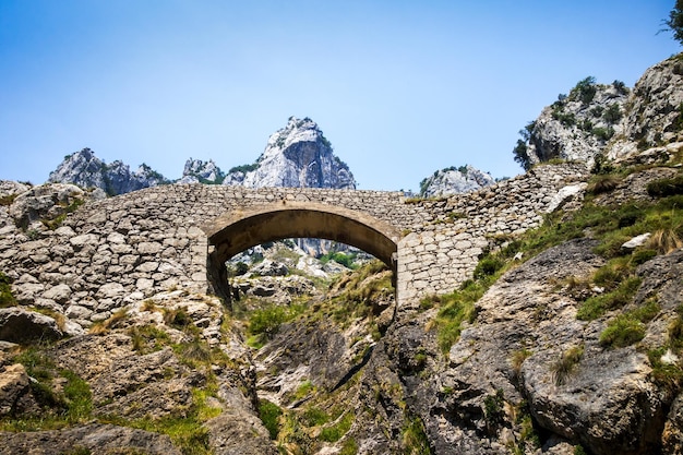 Pont de pierre dans les Picos de Europa Asturias Espagne