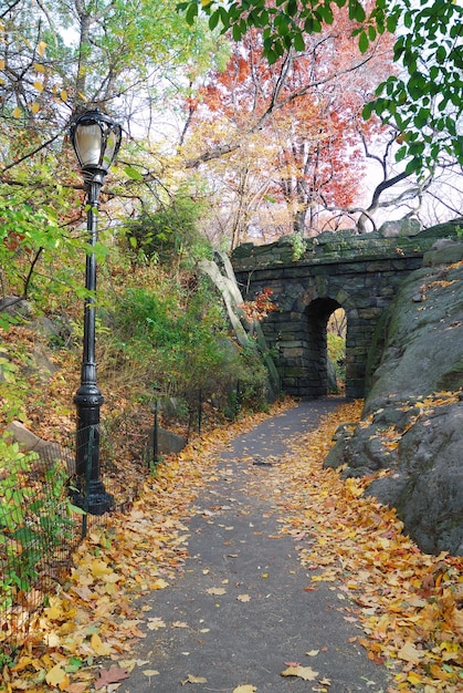 Photo pont de pierre du parc central de new york