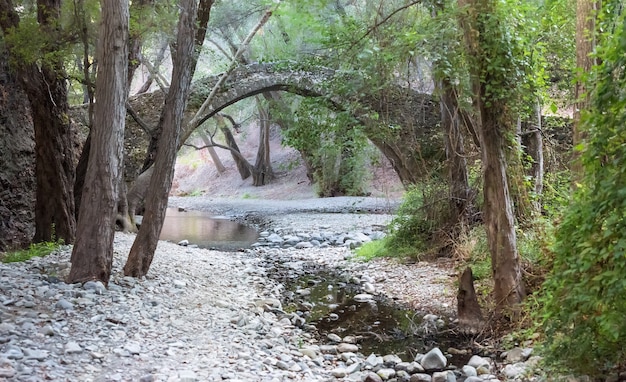 pont de pierre de kelefos tzelefos dans la forêt de paphos chypre construit par les vénitiens au 16ème siècle