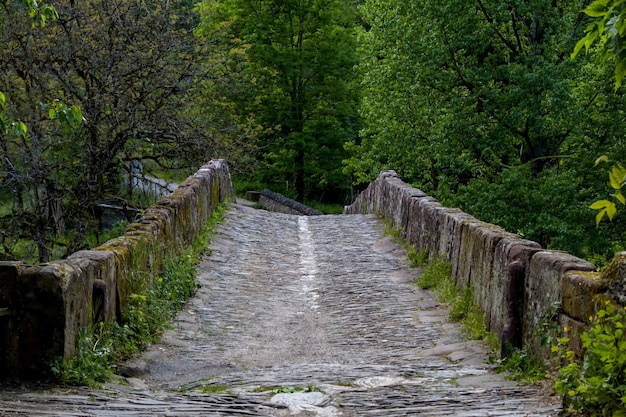 Pont de pierre médiéval hors de Conques en France