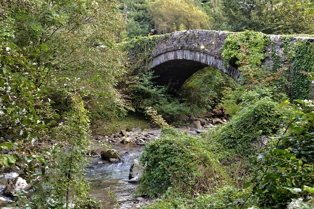 Pont de pierre traditionnel sur la rivière Glaslyn