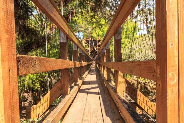 Photo pont piétonnier au milieu des arbres dans la forêt