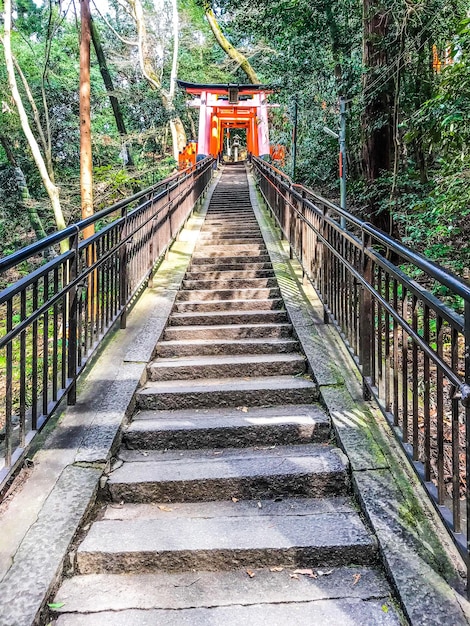 Photo pont piétonnier au milieu des arbres dans la forêt