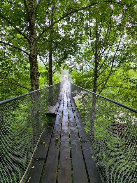 Pont piétonnier en bois suspendu parmi les arbres.