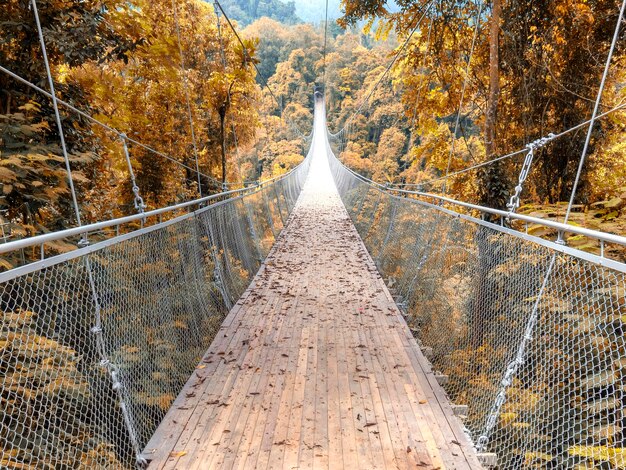 Photo pont piétonnier dans la forêt