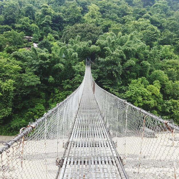 Photo pont piétonnier dans la forêt